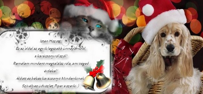 *SILENT NIGHT...* *Merry Christmas!* Frohe Weihnachten!* Boldog Karcsonyt!*